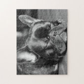 Schlafenfranzösische Bulldogge Puzzle (Vertikal)