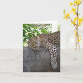 SchlafenGepard Karte (Gelbe Blume)
