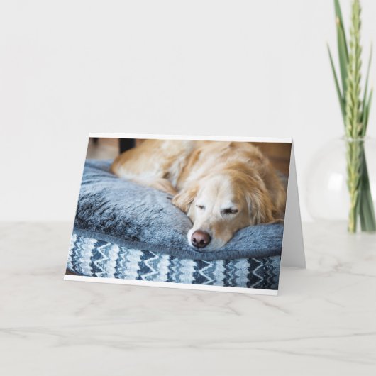 Schlafengolden retriever-Grußkarte Karte (Vorderseite)