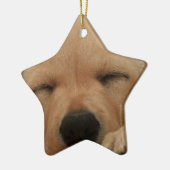 Schlafengolden retriever-Verzierung Keramikornament (Links)
