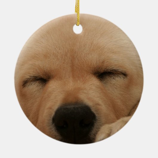 Schlafengolden retriever-Verzierung Keramikornament (Hinten)