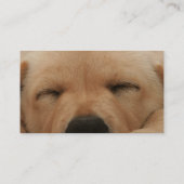 Schlafengolden retriever-Visitenkarte Visitenkarte (Rückseite)