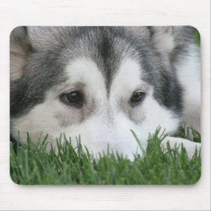 Schlafenheisere Mausunterlage Mousepad