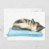 Schlafenkaliko-Kätzchen-Postkarte Postkarte (Vorne/Hinten)