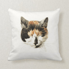 Schlafenkaliko-Katze Kissen