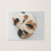 Schlafenkaliko-Katzen-Foto-Puzzlespiel und Puzzle (Horizontal)