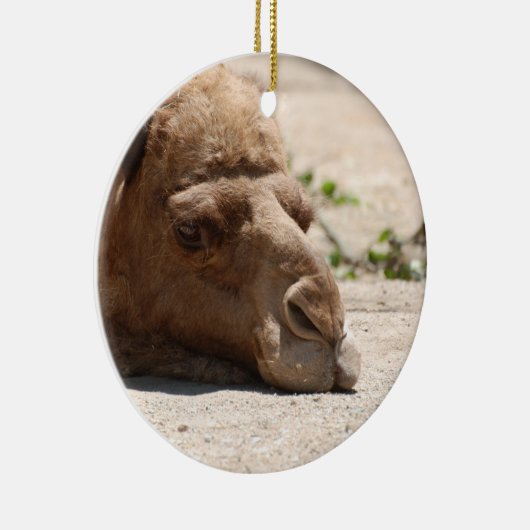 Schlafenkamel Keramik Ornament (Rechts)