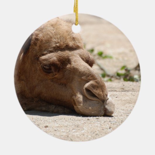 Schlafenkamel Keramik Ornament (Hinten)