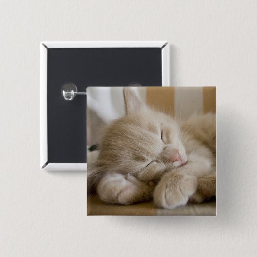 Schlafenkätzchen Button (Vorne & Hinten)