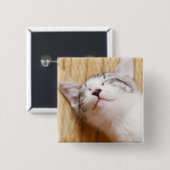 Schlafenkätzchen Button (Vorne & Hinten)