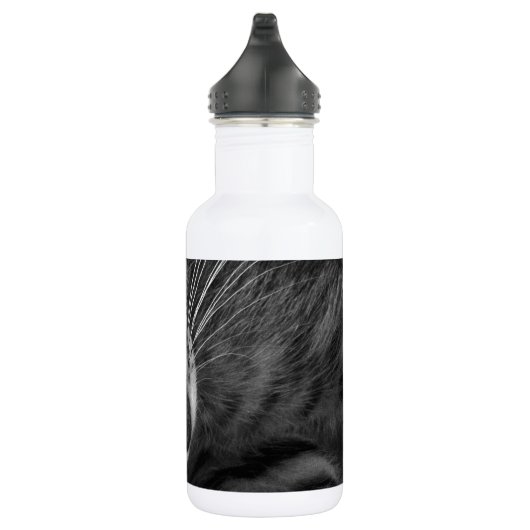 Schlafenkätzchen Edelstahlflasche (Rechts)