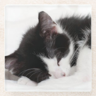 Schlafenkätzchen Glasuntersetzer