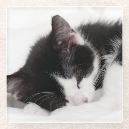 Schlafenkätzchen Glasuntersetzer (Vorderseite)