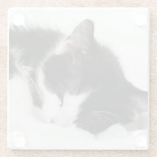 Schlafenkätzchen Glasuntersetzer (Rückseite)