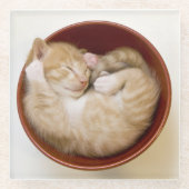 Schlafenkätzchen Glasuntersetzer (Vorderseite)