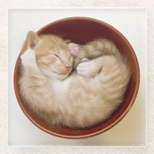 Schlafenkätzchen Glasuntersetzer (Vorderseite)