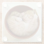 Schlafenkätzchen Glasuntersetzer (Rückseite)