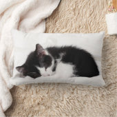 Schlafenkätzchen Lendenkissen (Decke)