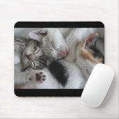 Schlafenkätzchen-Mausunterlage Mousepad (Mit Mouse)