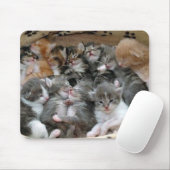 Schlafenkätzchen Mousepad (Mit Mouse)