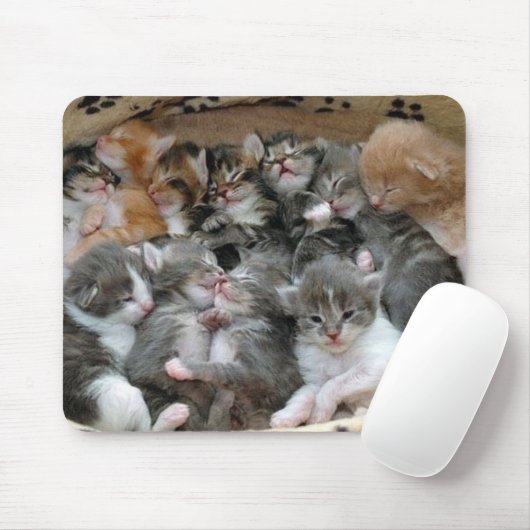Schlafenkätzchen Mousepad (Mit Mouse)
