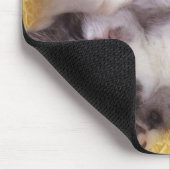 Schlafenkätzchen Mousepad (Ecke)