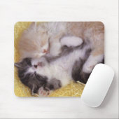 Schlafenkätzchen Mousepad (Mit Mouse)