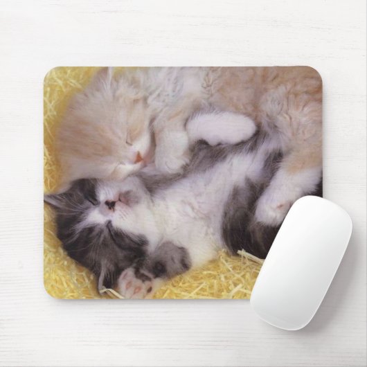 Schlafenkätzchen Mousepad (Mit Mouse)