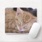 Schlafenkätzchen Mousepad (Mit Mouse)