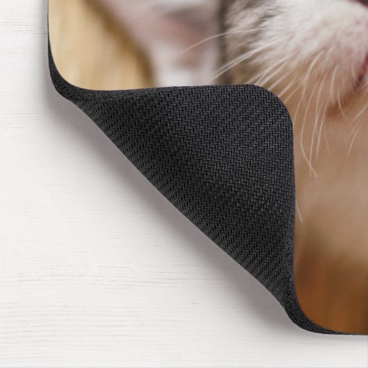 Schlafenkätzchen Mousepad (Ecke)