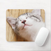 Schlafenkätzchen Mousepad (Mit Mouse)