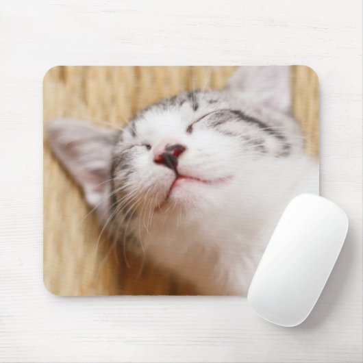 Schlafenkätzchen Mousepad (Mit Mouse)