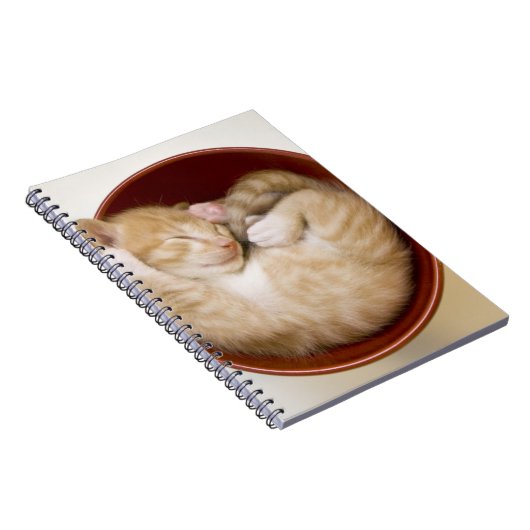 Schlafenkätzchen Notizblock (Rechte Seite)