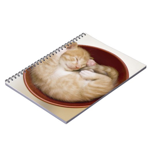 Schlafenkätzchen Notizblock (Linke Seite)