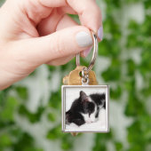 Schlafenkätzchen Schlüsselanhänger (Hand)