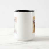 Schlafenkätzchen Tasse (Zentrum)