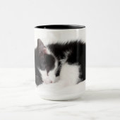 Schlafenkätzchen Tasse (Zentrum)