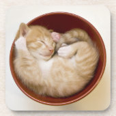 Schlafenkätzchen Untersetzer (Vorderseite)