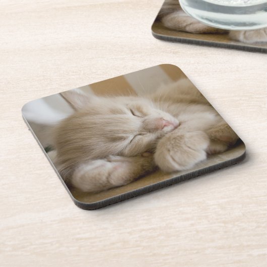 Schlafenkätzchen Untersetzer (Linke Seite)