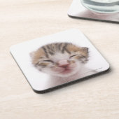 Schlafenkätzchen Untersetzer (Linke Seite)