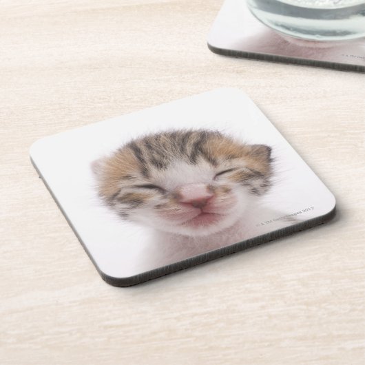 Schlafenkätzchen Untersetzer (Linke Seite)