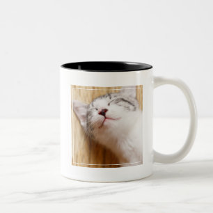 Schlafenkätzchen Zweifarbige Tasse