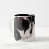 Schlafenkätzchen Zweifarbige Tasse (Vorderseite Links)