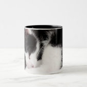 Schlafenkätzchen Zweifarbige Tasse (Mittel)