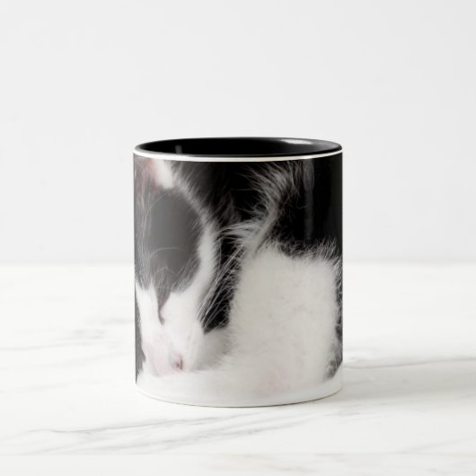 Schlafenkätzchen Zweifarbige Tasse (Mittel)