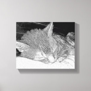 Schlafenkatze Leinwanddruck