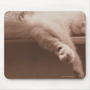 Schlafenkatze Mousepad