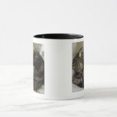 Schlafenkatze Tasse (Zentrum)