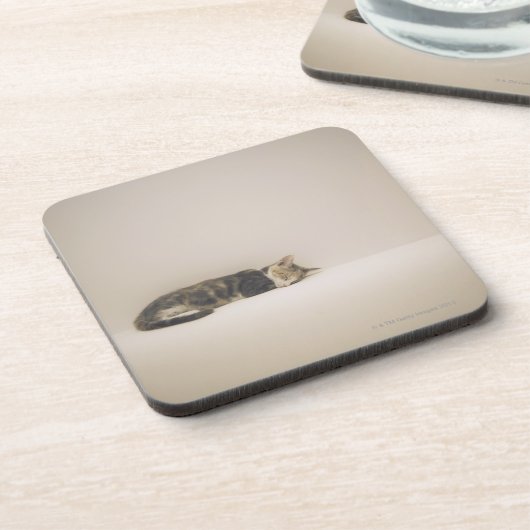 Schlafenkatze Untersetzer (Linke Seite)
