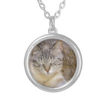 Schlafenkatze